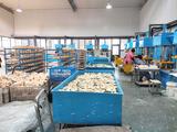 Wax pattern machine3.jpg